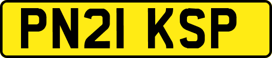 PN21KSP