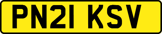 PN21KSV