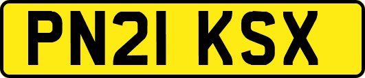 PN21KSX