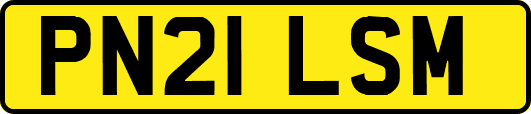 PN21LSM