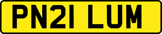PN21LUM