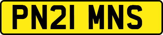 PN21MNS