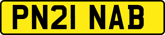 PN21NAB