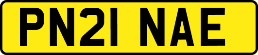 PN21NAE