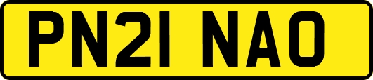PN21NAO