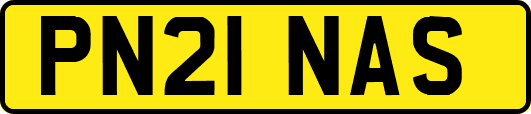 PN21NAS