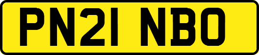 PN21NBO