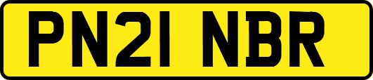 PN21NBR