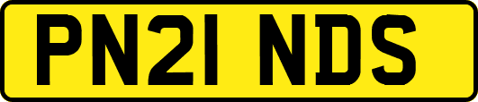 PN21NDS