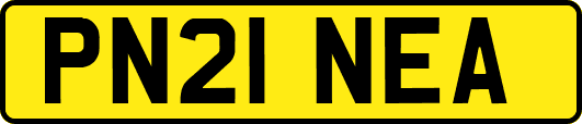 PN21NEA