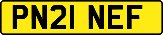 PN21NEF