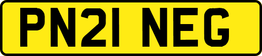 PN21NEG