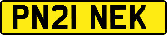 PN21NEK