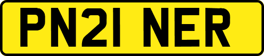 PN21NER