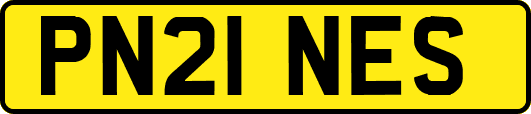 PN21NES