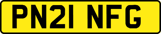 PN21NFG