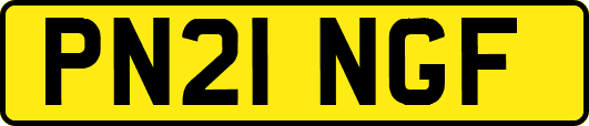 PN21NGF