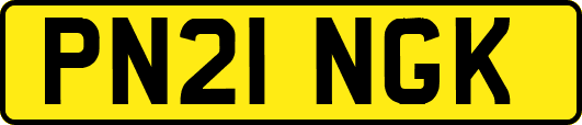 PN21NGK