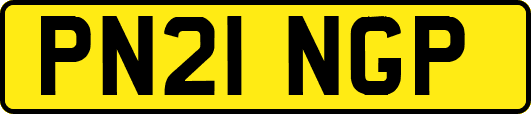 PN21NGP
