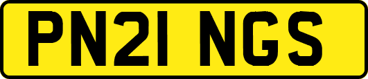 PN21NGS