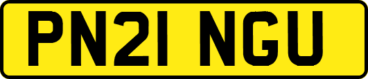 PN21NGU