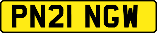 PN21NGW