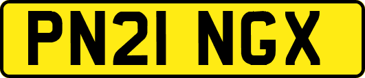 PN21NGX