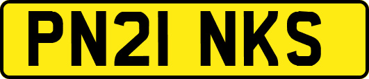 PN21NKS