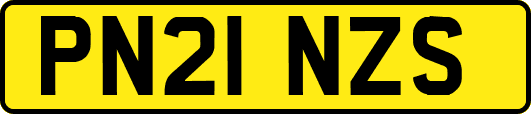 PN21NZS