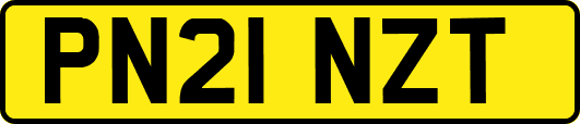 PN21NZT
