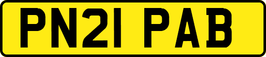 PN21PAB