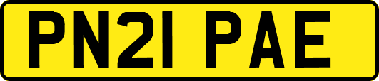 PN21PAE