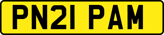 PN21PAM