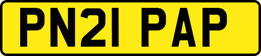 PN21PAP