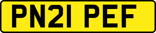 PN21PEF