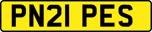PN21PES