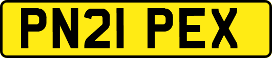 PN21PEX
