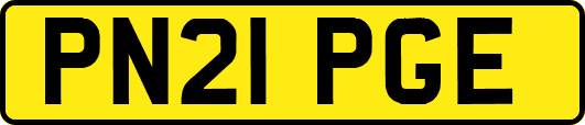 PN21PGE