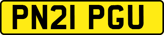 PN21PGU