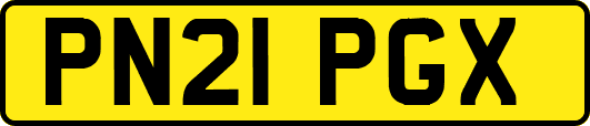 PN21PGX