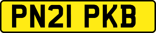 PN21PKB