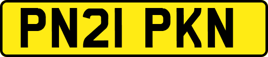 PN21PKN