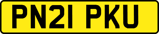 PN21PKU
