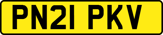 PN21PKV