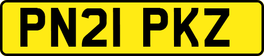 PN21PKZ