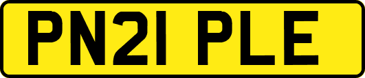 PN21PLE