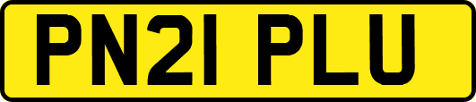 PN21PLU