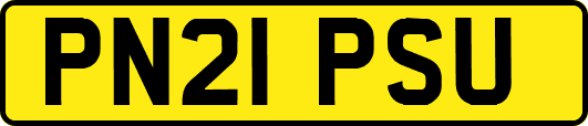 PN21PSU