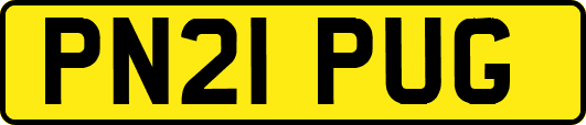PN21PUG