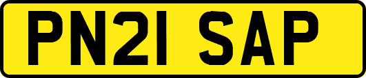 PN21SAP